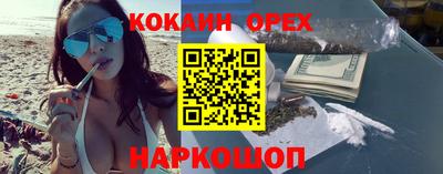 индика Пенза