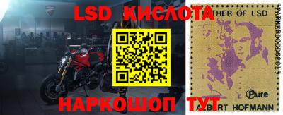 индика Пенза