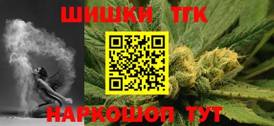индика Пенза