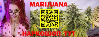 индика Пенза