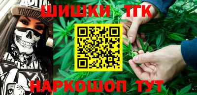 индика Пенза