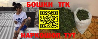 индика Пенза