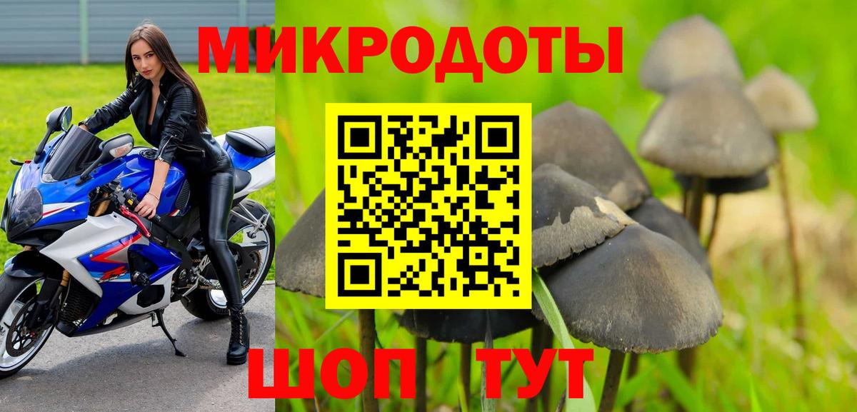 Галлюциногенные грибы прущие грибы Славянск-на-Кубани